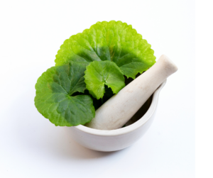 Brahmi / Gotu Kola Eko. 90kaps, Organic India. Örten används inom Ayurveda för att stödja hjärnan. Det har även gjorts diverse moderna kontrollerade studier kring örtens effekter.