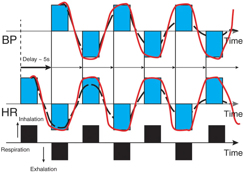 HRV Breathing