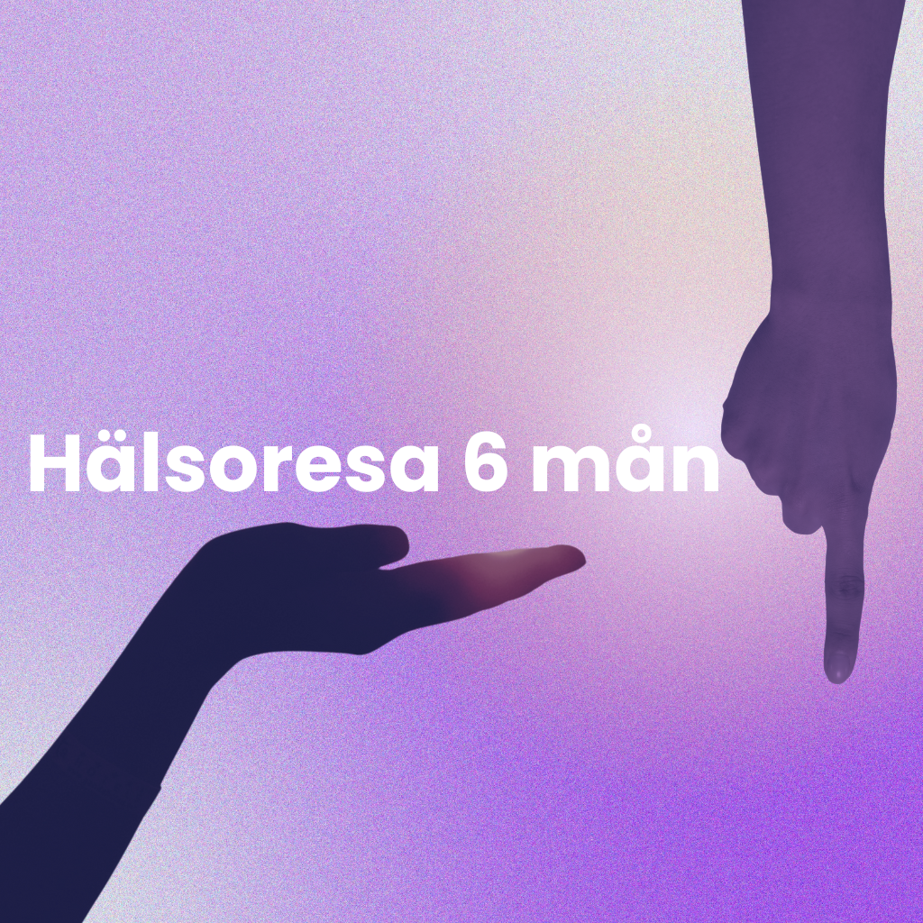Hälsoresa 6 mån